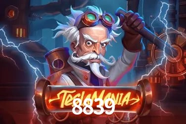 Game Providers 8839